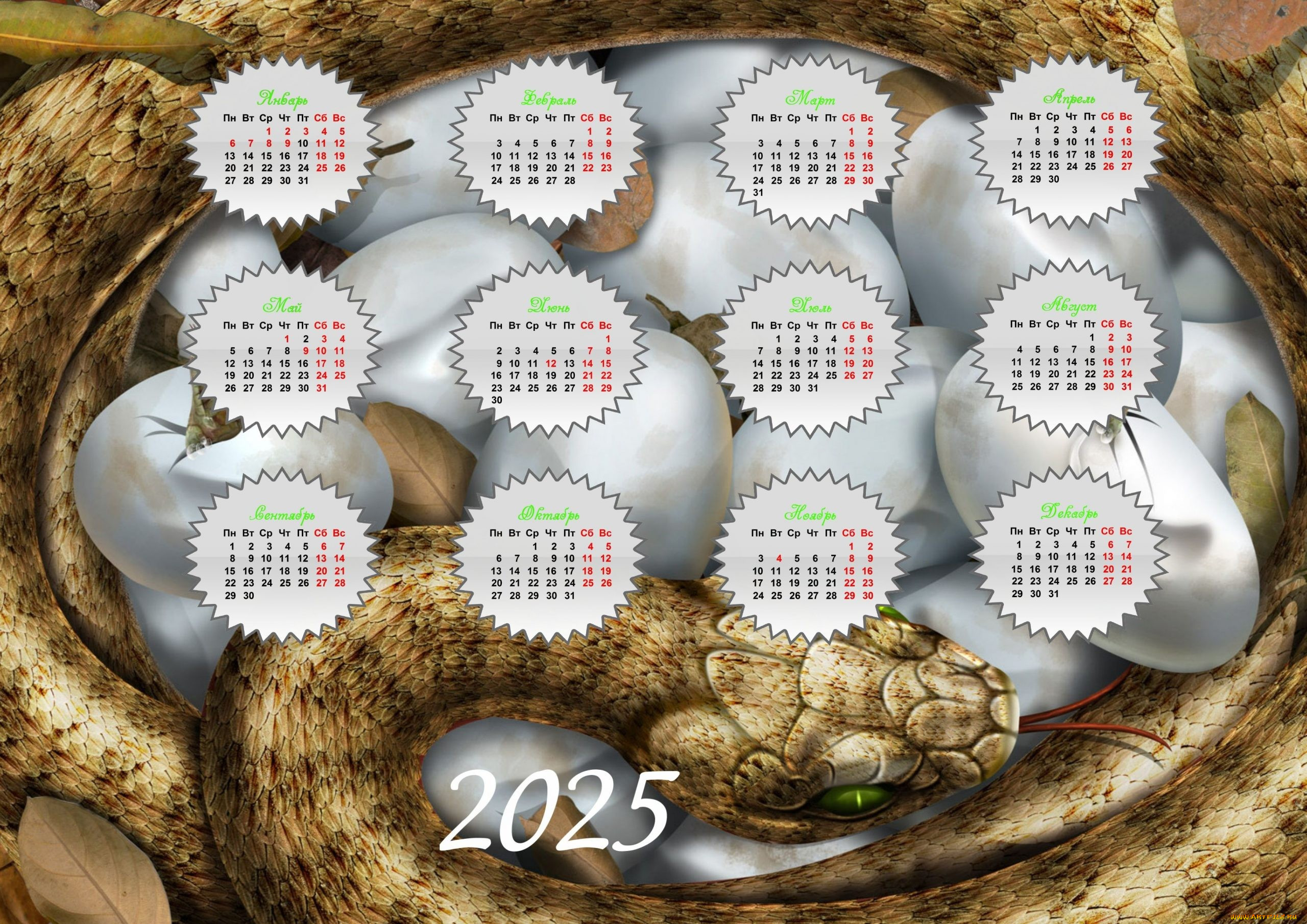 , -, , , 2025